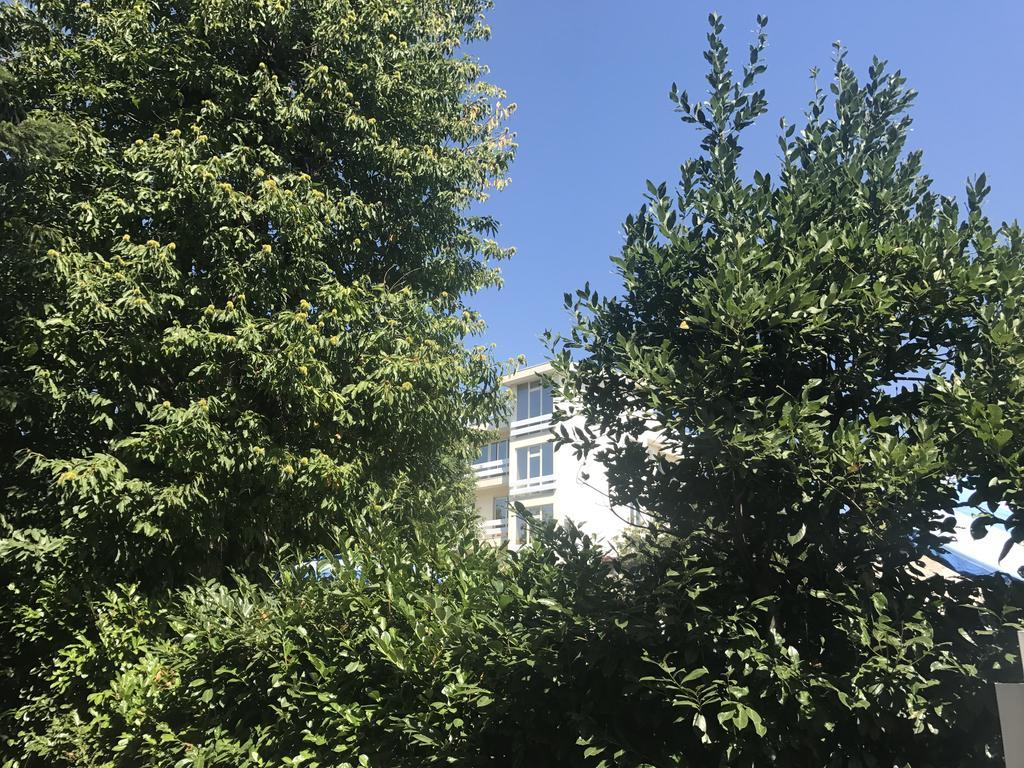 Mondial Park Hotel Fiuggi Εξωτερικό φωτογραφία